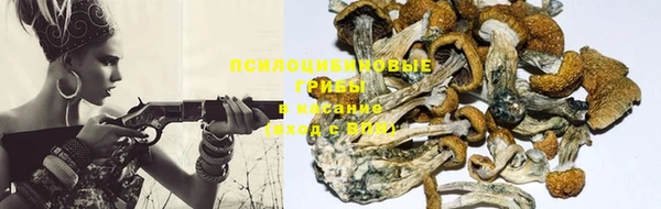 ешки Мегион