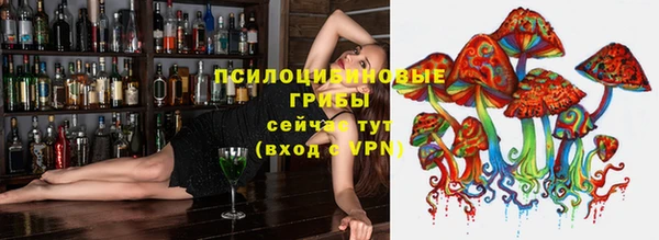 прущая мука Медногорск